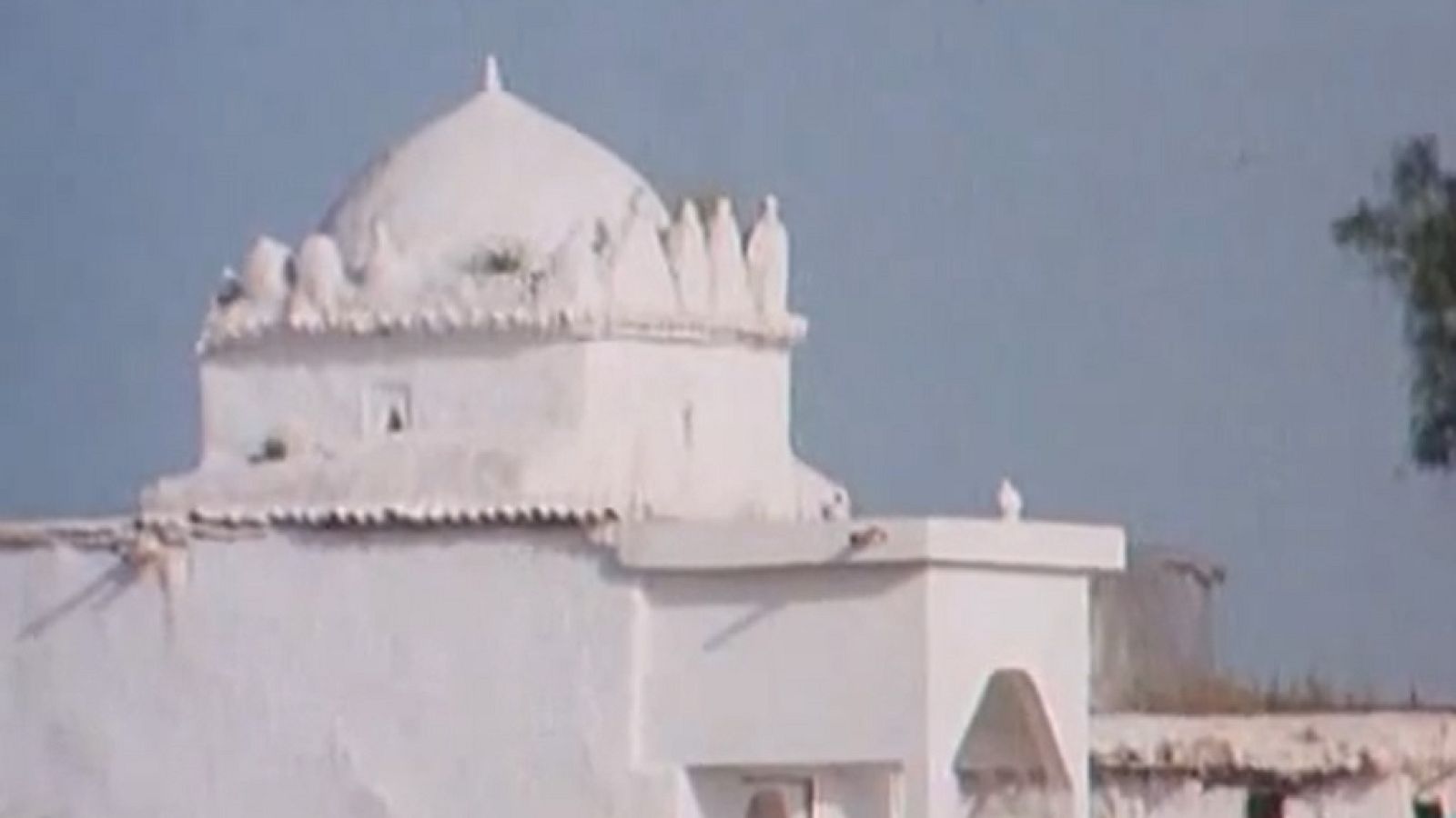 Alquibla - Romerías y ermitas, el culto popular de los santos - Alquibla | Ver