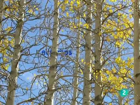 L'Informatiu - El temps en Catalunya - 28/10/10