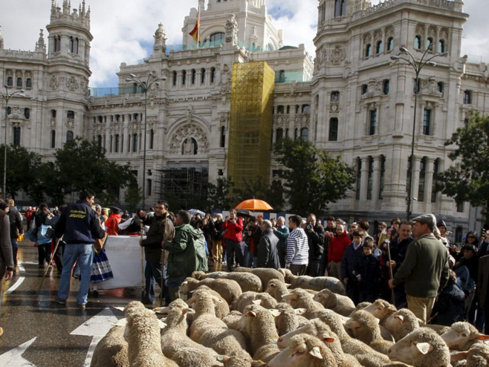 Fiesta de la Trashumancia 2010