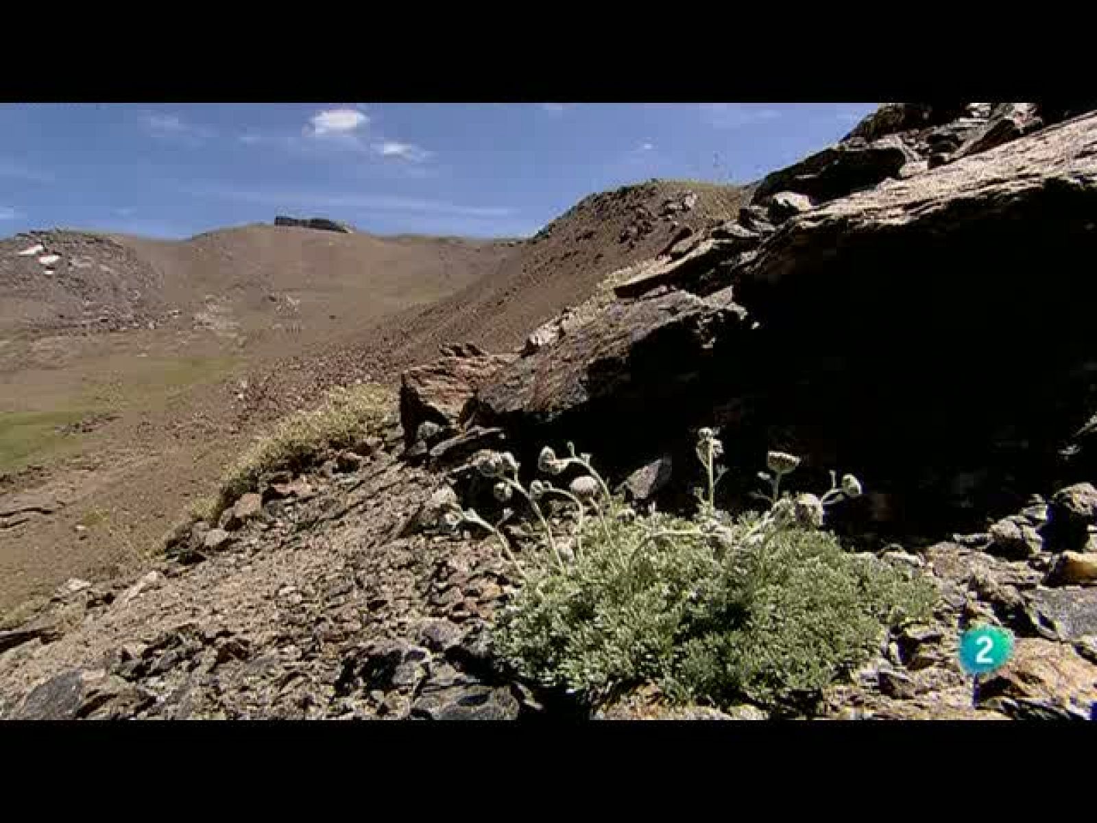 Biodiario ( 31/10/10)