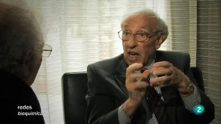 Redes - Los semáforos de la célula