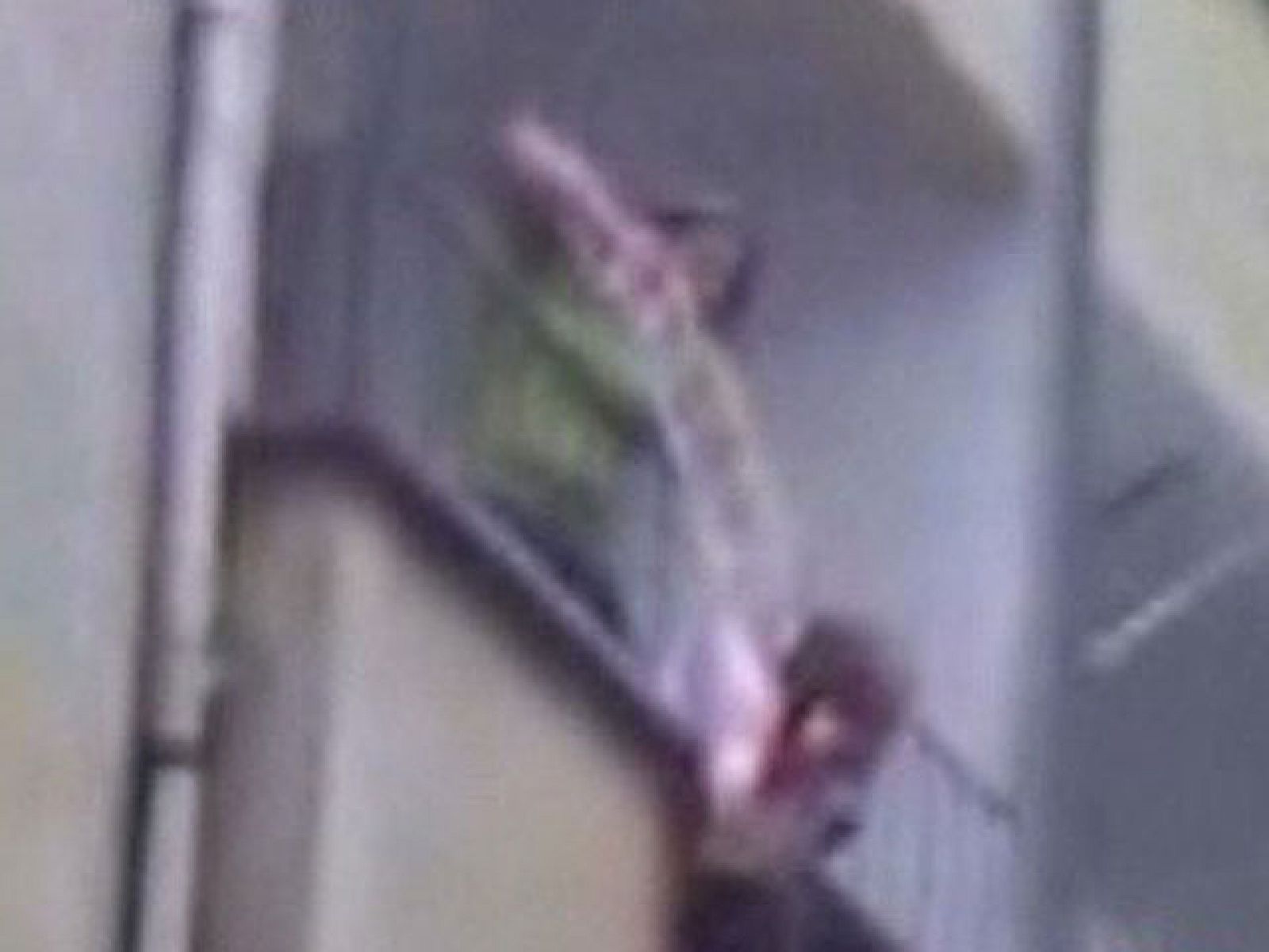 Una mujer baja a una niña por un balcón atada a una cuerda en Turquía | Ver