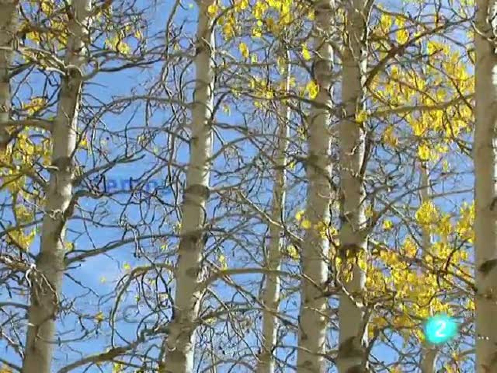 El temps (29-10-2010)