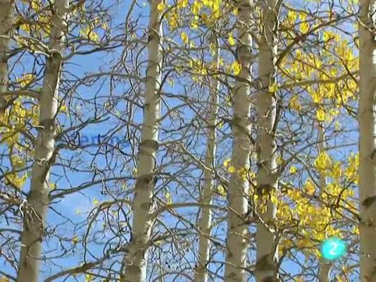 L'Informatiu - El temps en Catalunya - 29/10/10