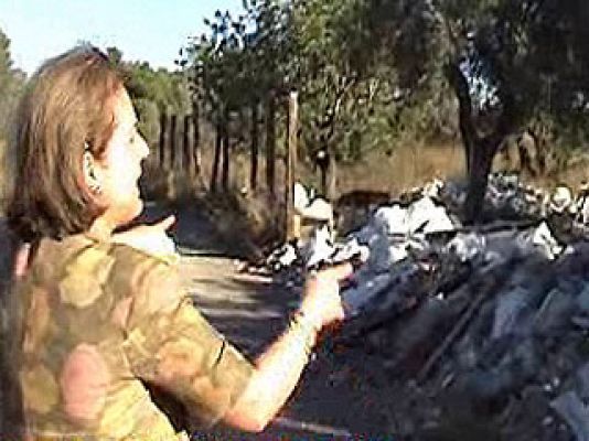 España Directo - Rosa nos quiere contar