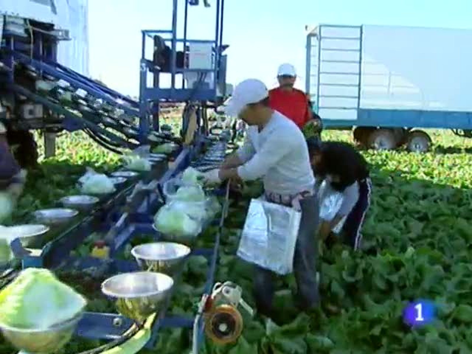 Noticias Murcia. (03/11/2010).