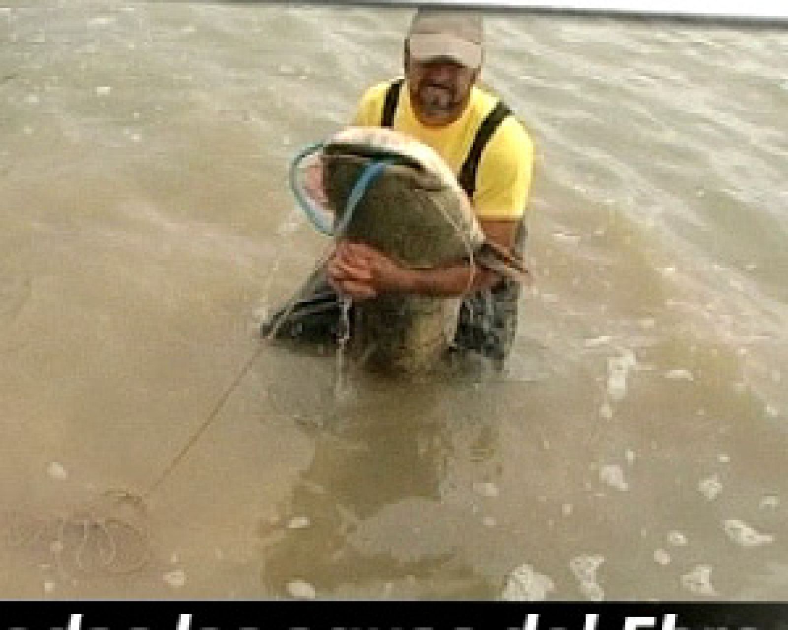 Avance  Repor: Todas las aguas del Ebro