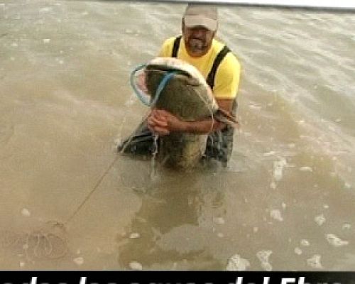 Repor - Avance - Todas las aguas del Ebro