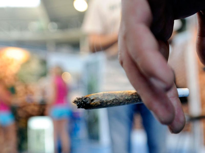 El cannabis es la droga más consumida en el mundo | Ver