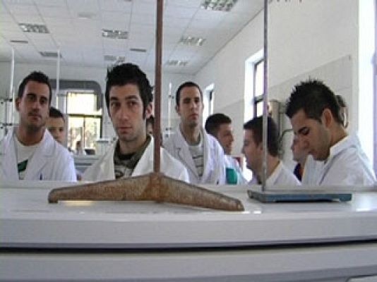 Comando Actualidad - Formación Profesional en Madrid