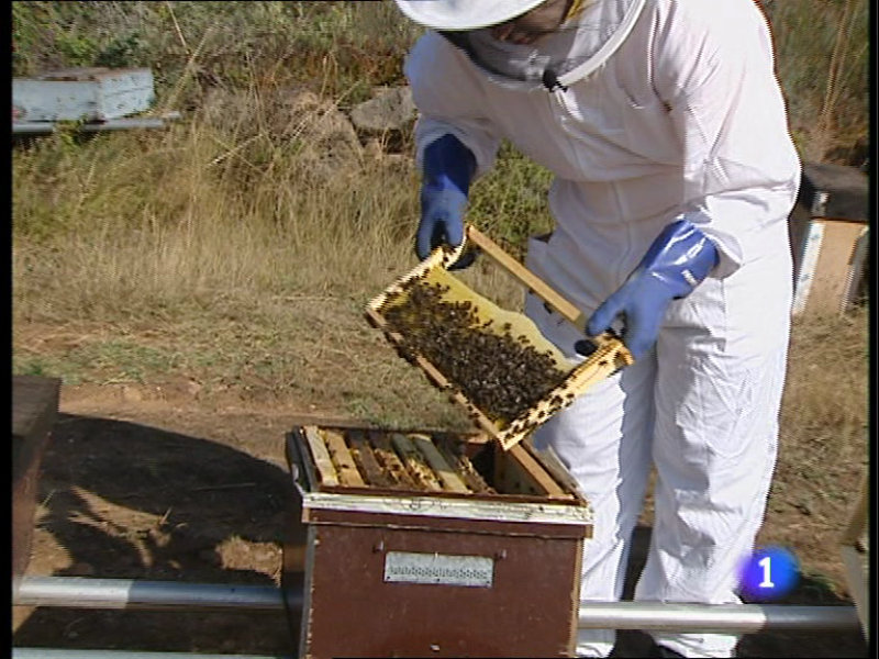 Informativo Telerioja (3/11/2010)