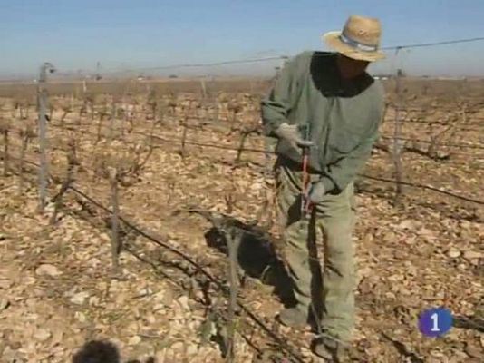 Noticias de Castilla-La Mancha - Noticias de Castilla La Mancha. Informativo de Castilla La Mancha. (04/11/10).