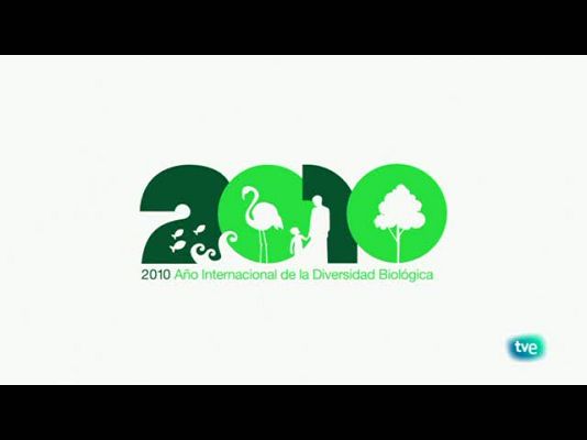 Biodiario - Los flamencos