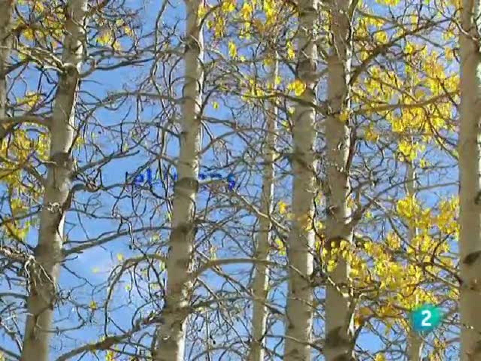 El temps (04-11-2010)