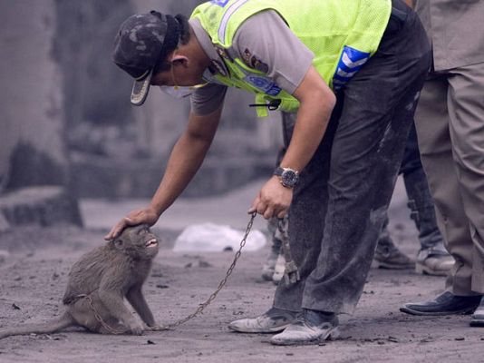  - 60 muertos por erupción del Merapi
