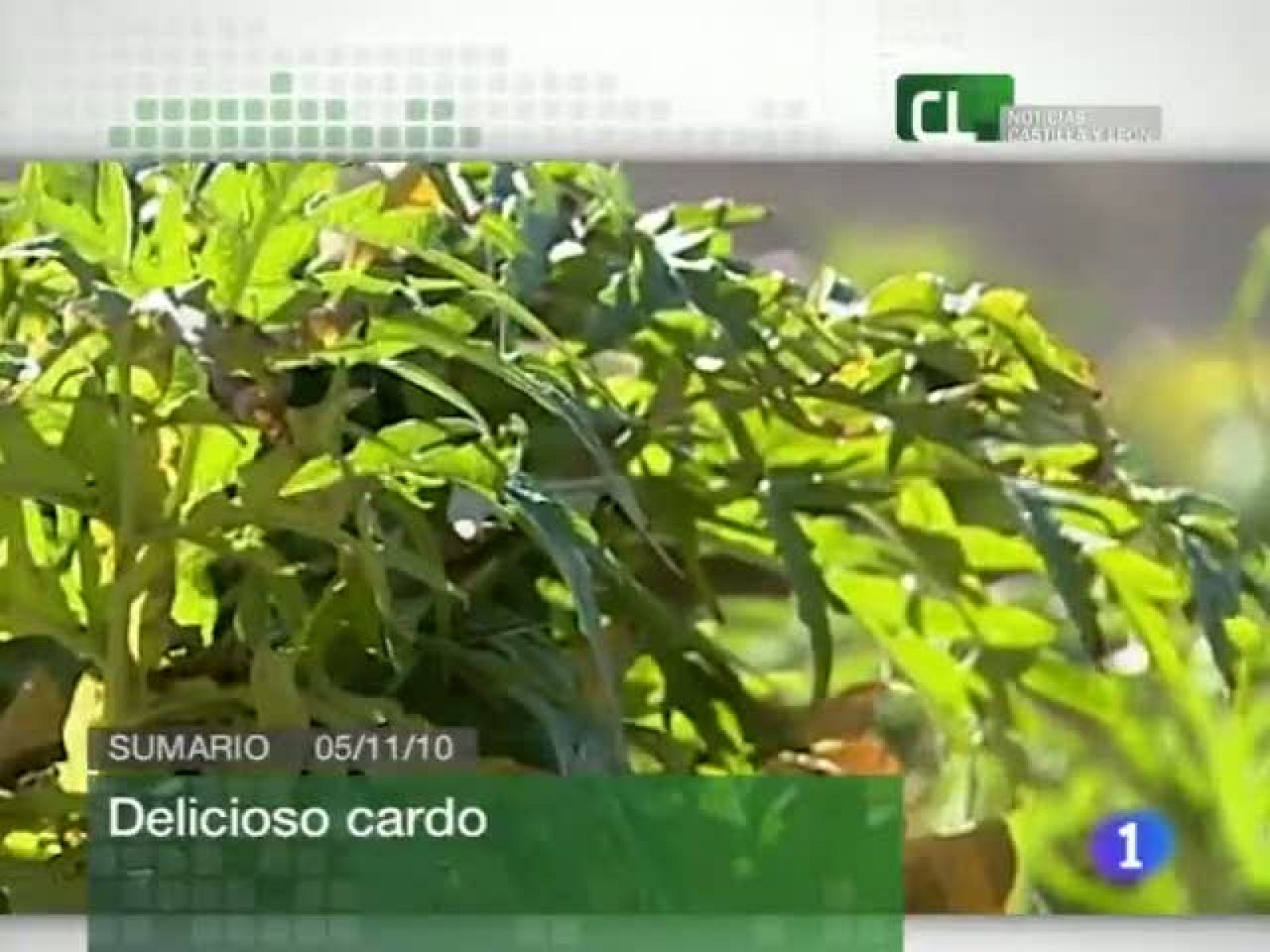 Noticias Castilla y León. Informativo Territorial de Castilla y león. (05/11/10)