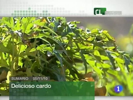 Noticias de Castilla y León - Noticias de Castilla y León - 05/11/10