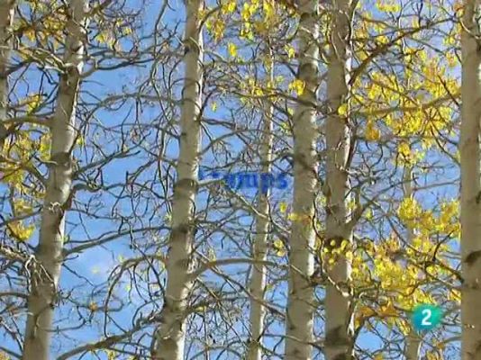 L'Informatiu - El temps en Catalunya - 05/11/10