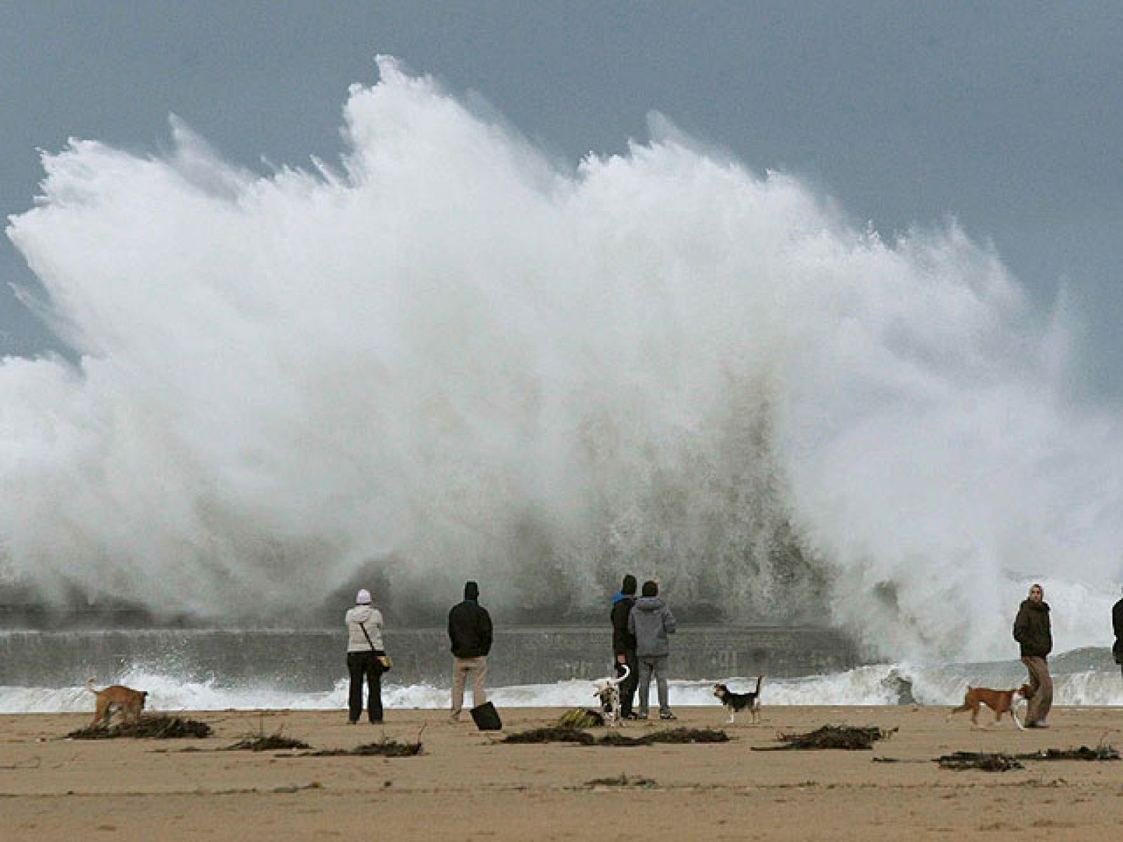 Telediario matinal en cuatro minutos - 10/11/10 | Ver