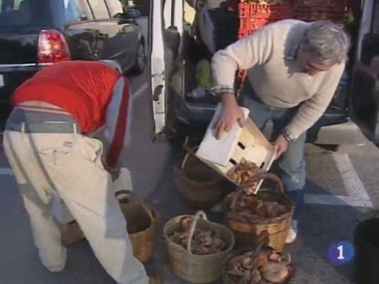 Noticias de Castilla-La Mancha - Noticias de Castilla - La Mancha. Informativo de Castilla - La Mancha. (11/11/10)