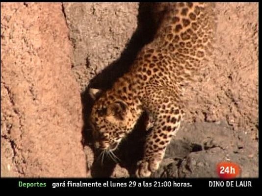 España en 24h - España en 24 horas - 11/11/10