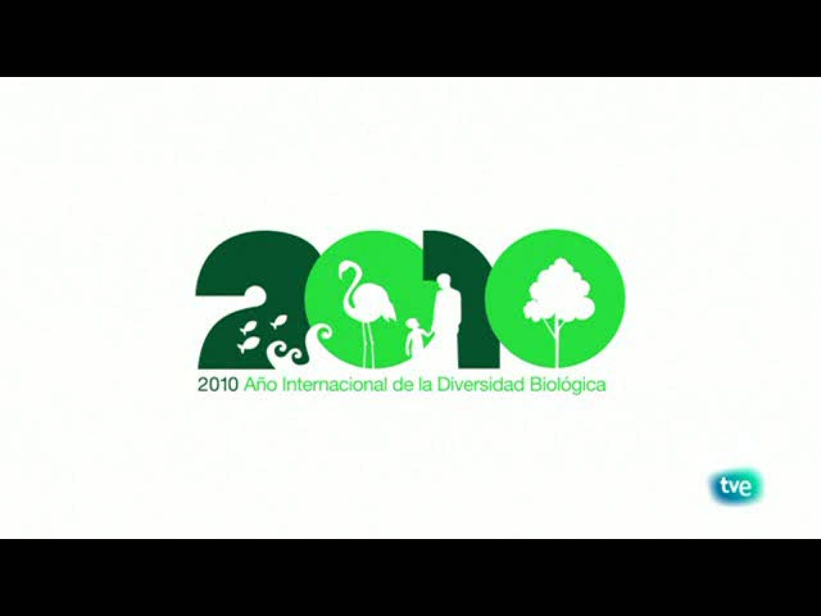 Biodiario - Andarrios, pajarillo pequeño. - Biodiario | Ver