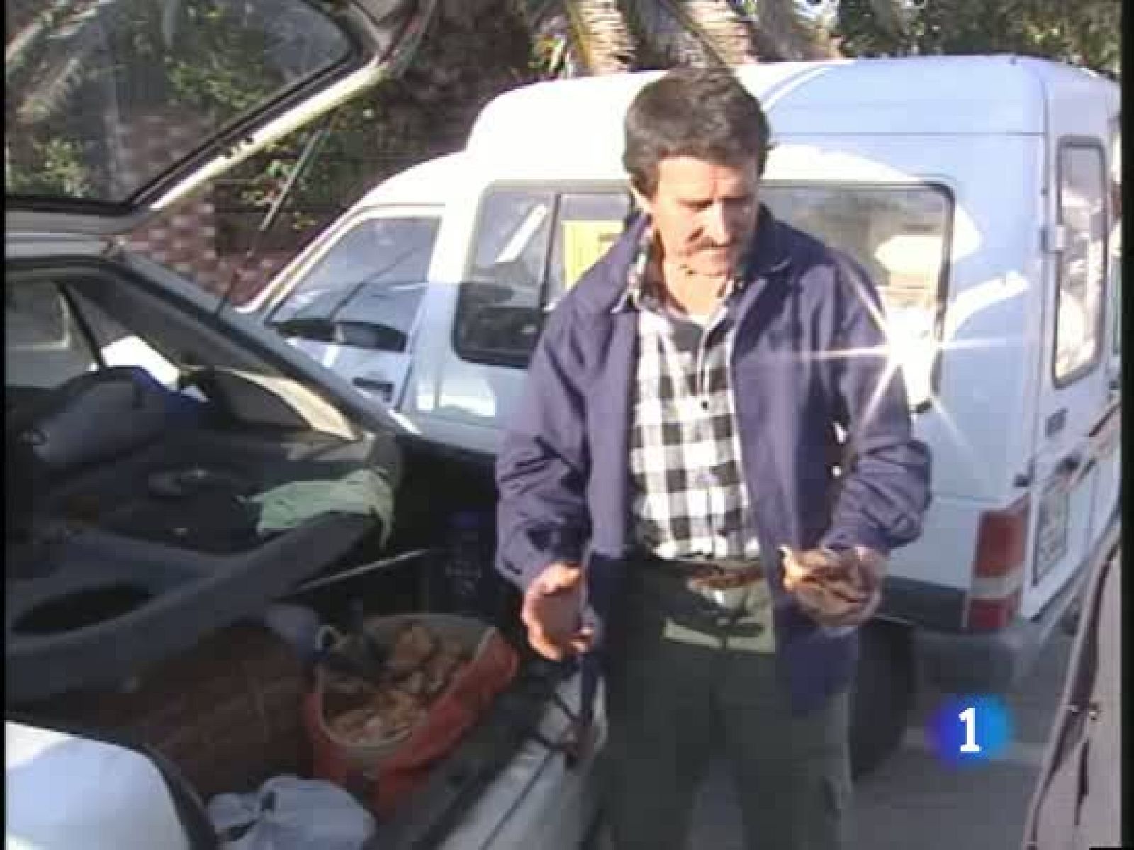 La crisis lleva a muchos temporeros búlgaros y rumanos a ganarse la vida recogiendo níscalos | Ver