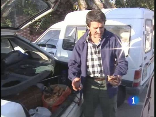  - Ganarse la vida recogiendo níscalos