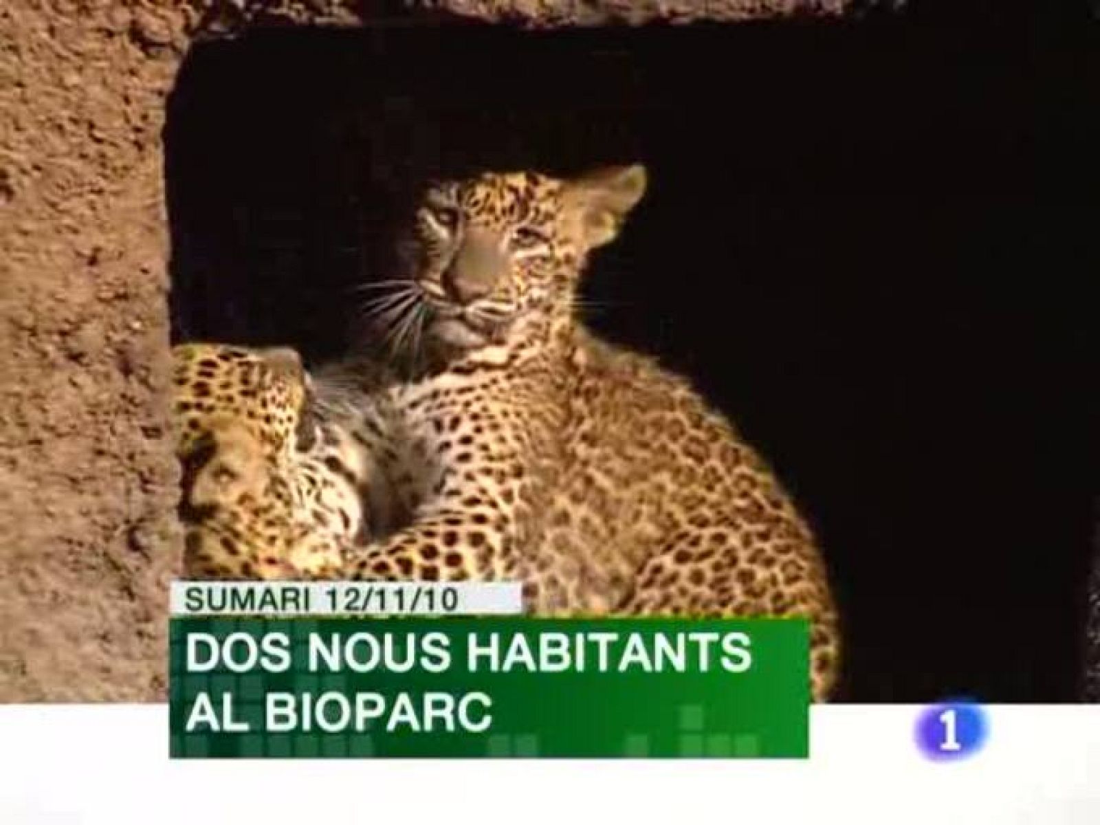 L'Informatiu. Informativo Territorial de la C.Valenciana - 12/11/10 | Ver