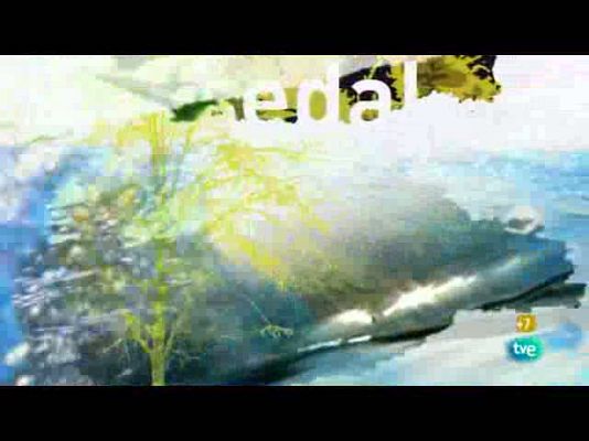 Jara y sedal - La pesca que veremos