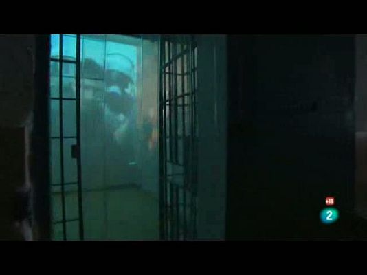 Metrópolis - Manifesta 8 (I)