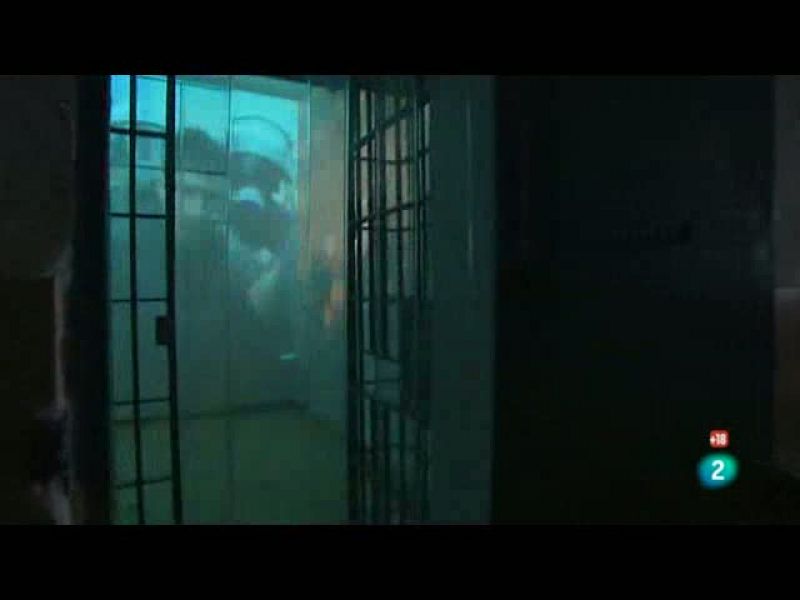 Metrópolis - Manifesta 8 - Metrópolis | Ver