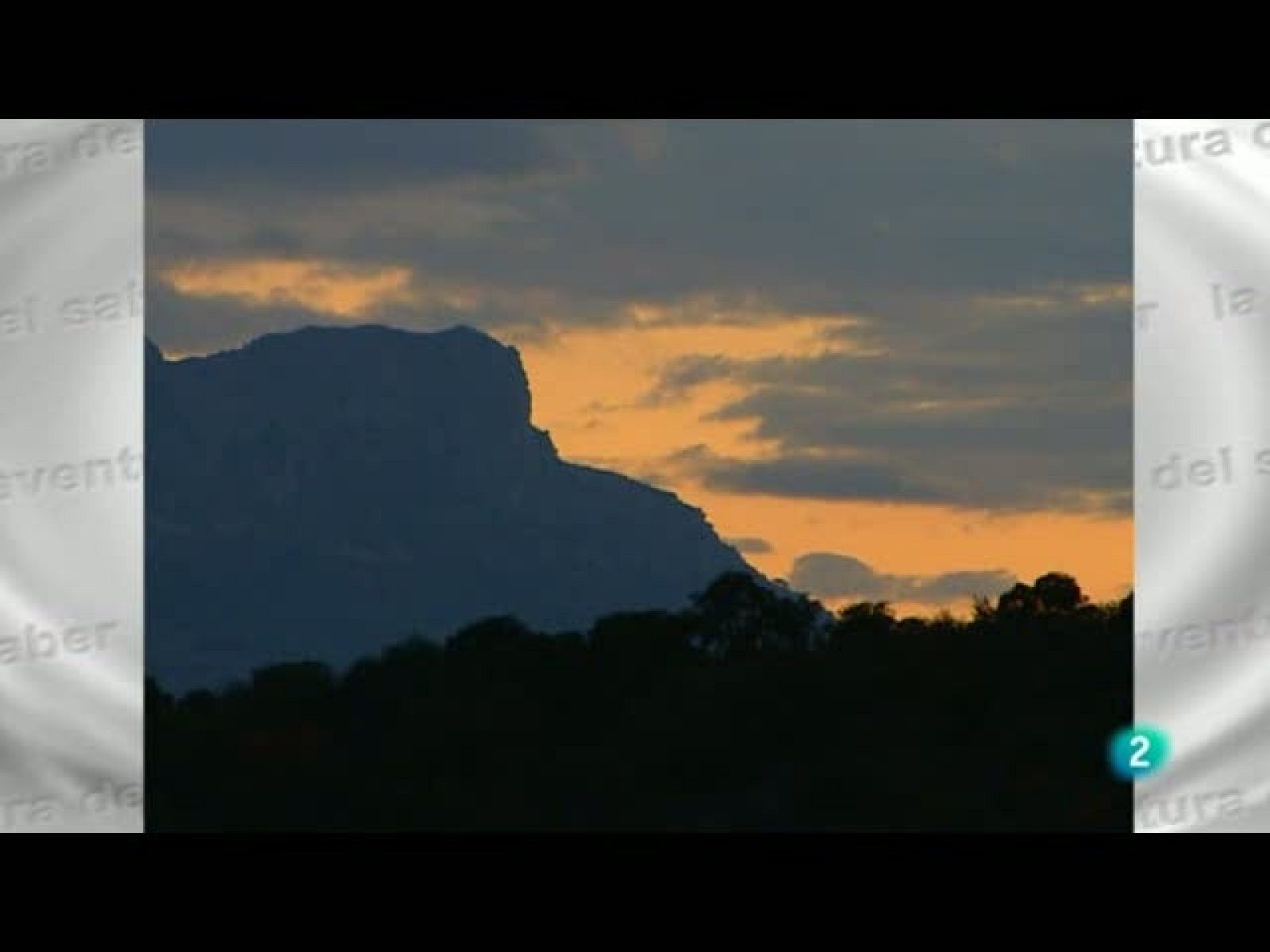 La aventura del Saber - Naturaleza y Medio Ambiente - 15/11/10 - La aventura del Saber | Ver