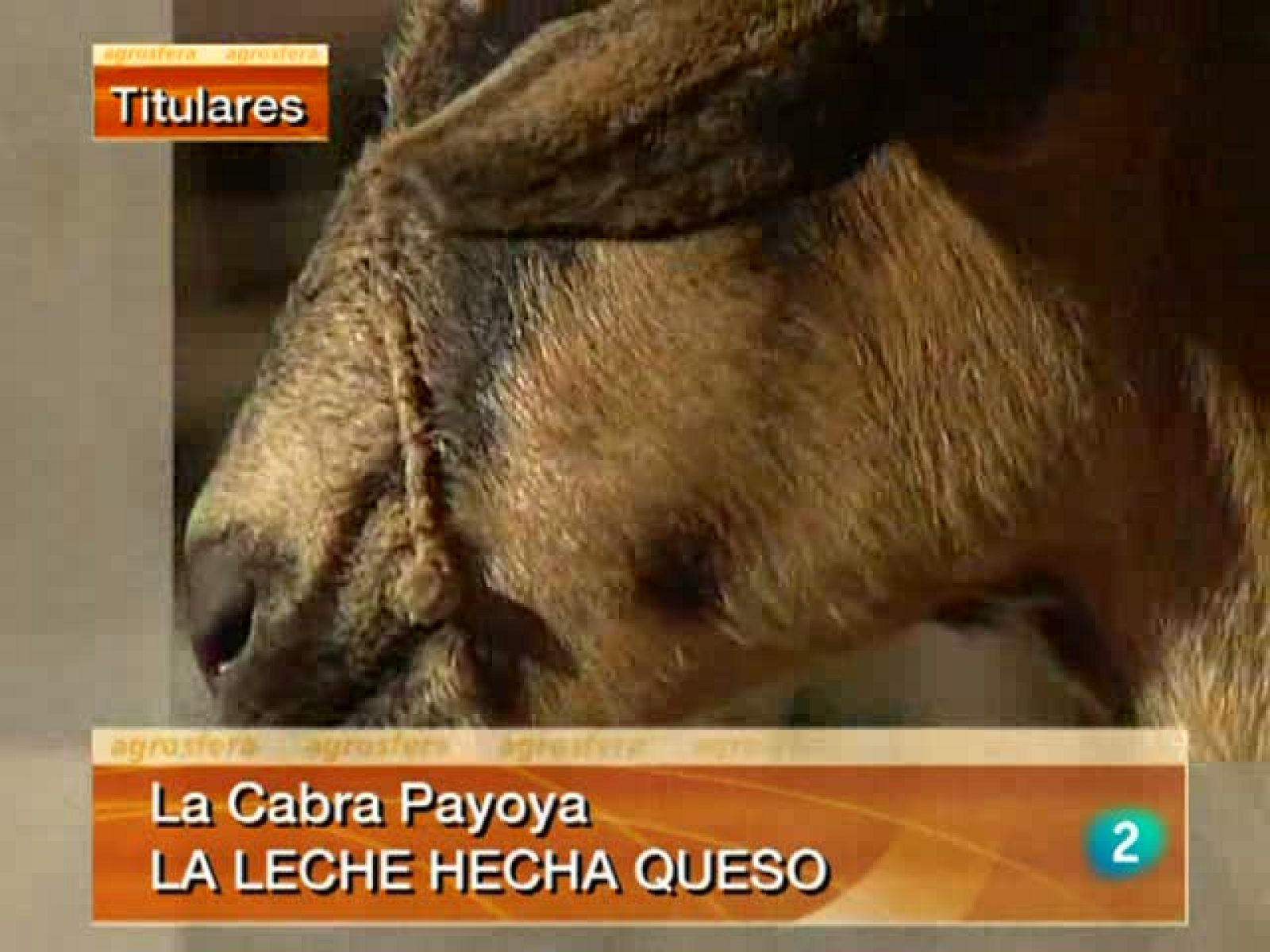 Agrosfera - 13/11/10 - Agrosfera | Ver