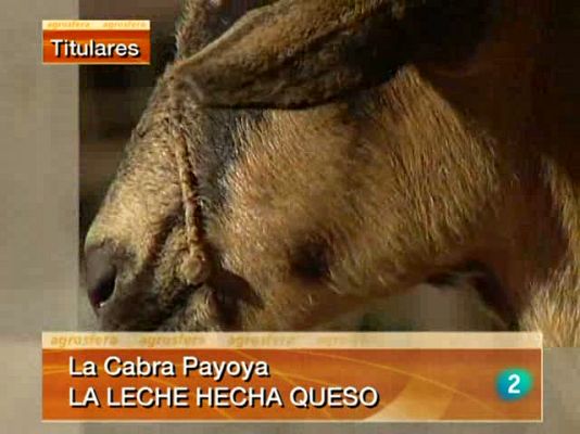 Agrosfera - Agrosfera - 13/11/10