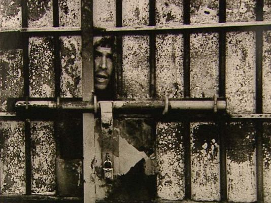  - Exposición "Humano" en Alcobendas