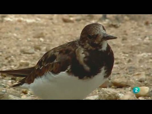 Biodiario - Su nombre no es por casualidad