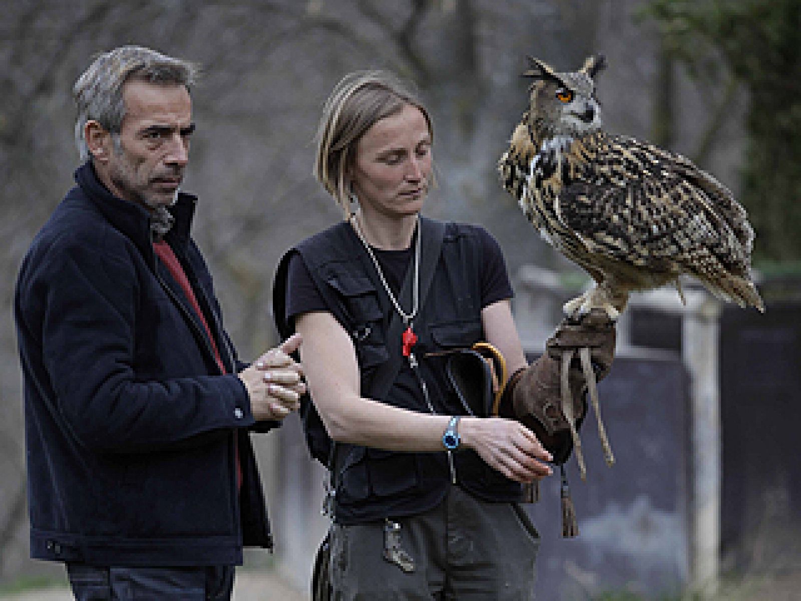 Avance - Un país para comérselo - Zaragaoza