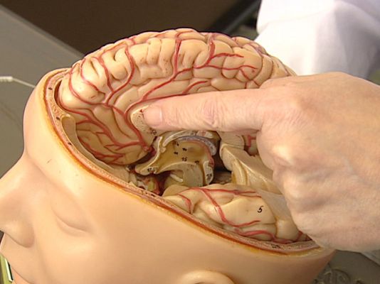 Ciencia y tecnología en Rtve.es - Electrodos en el cerebro