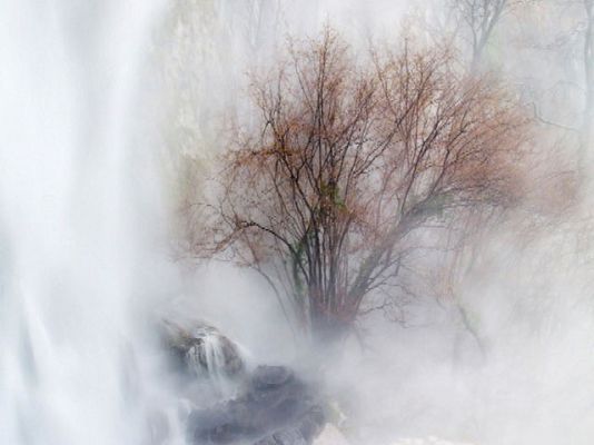 Ciencia y tecnología en Rtve.es - Un maestro de la fotografía de naturaleza con solo 15 años