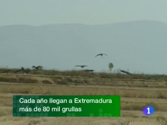 Noticias de Extremadura - Noticias de Extremadura - 17/11/10