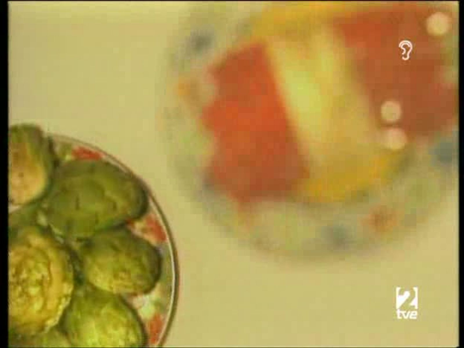 A pedir de boca - Vinos D.O. Ribera del Guadiana - A pedir de boca | Ver