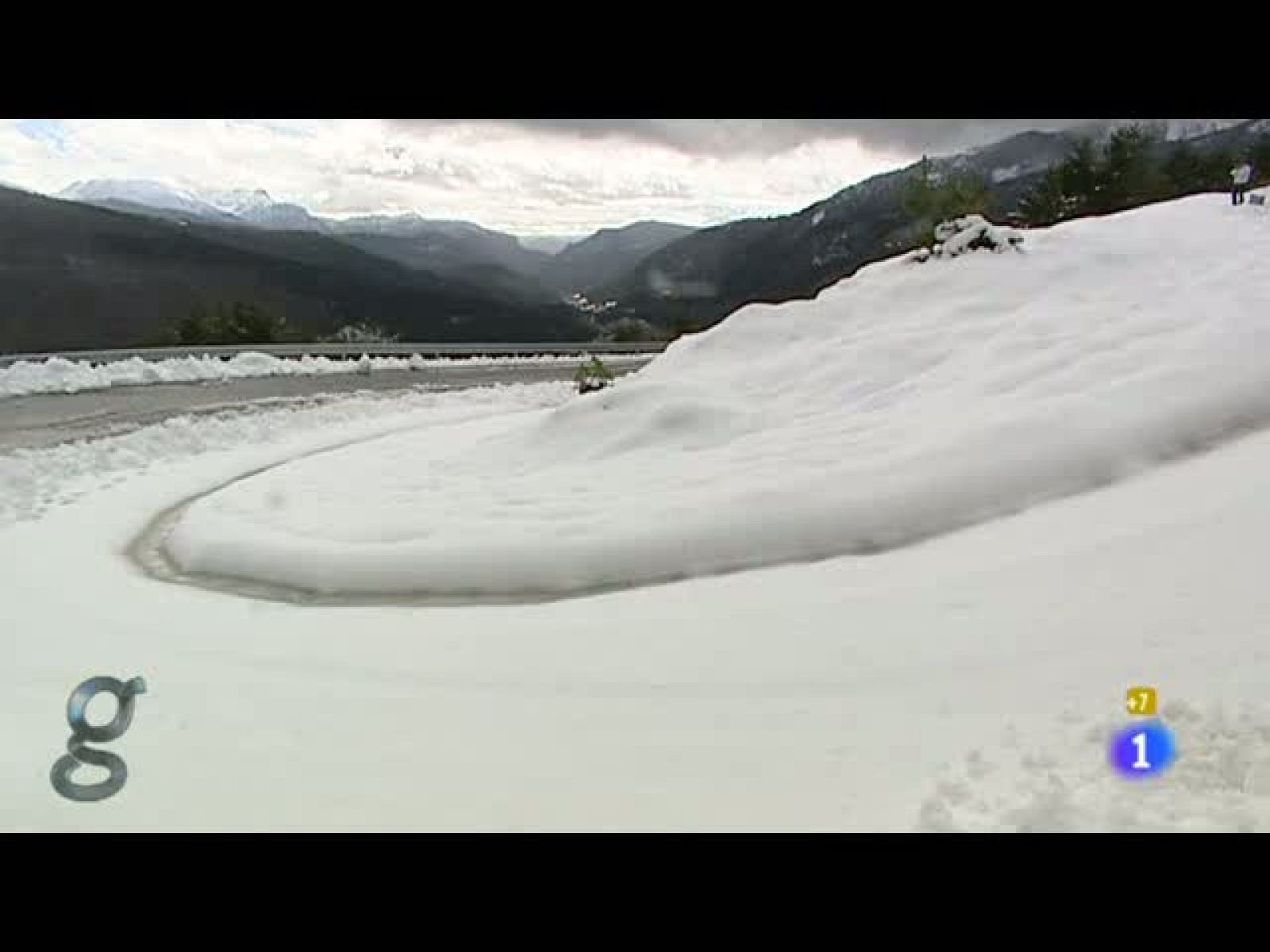 Gente - 17/11/10 - Gente | Ver