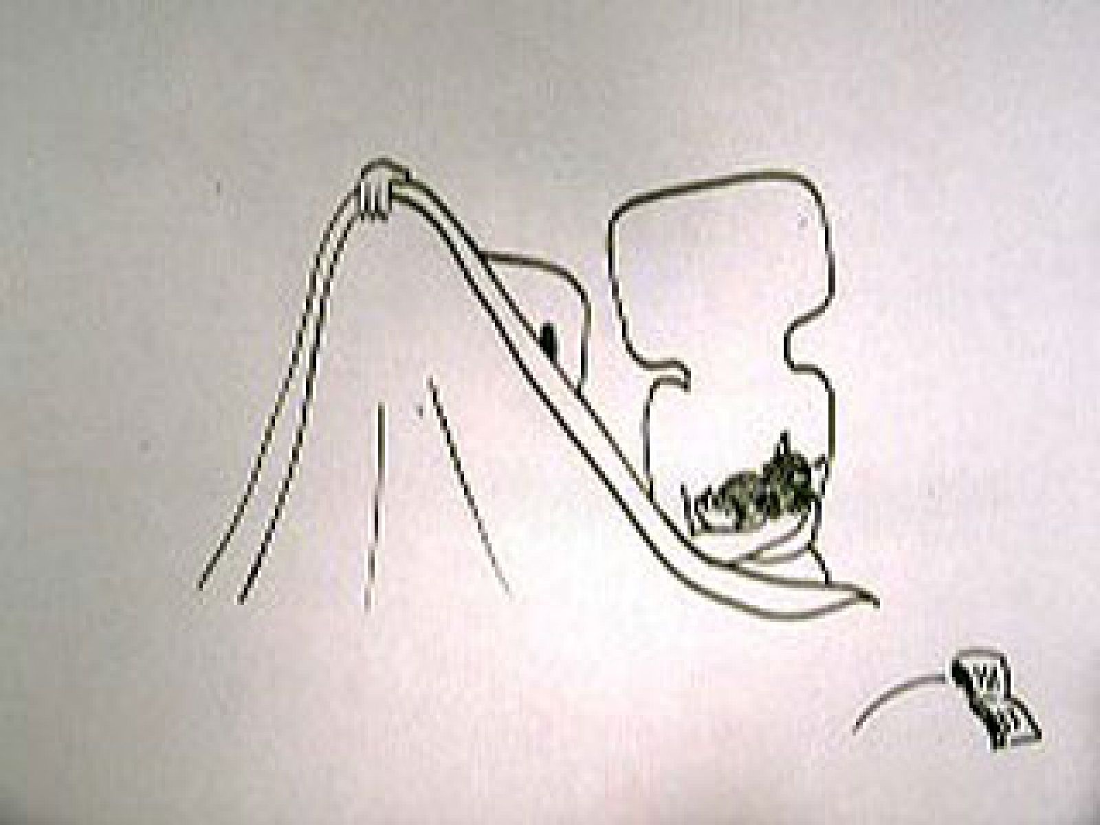 ZZZ - Cuento de buenas noches - Valiente