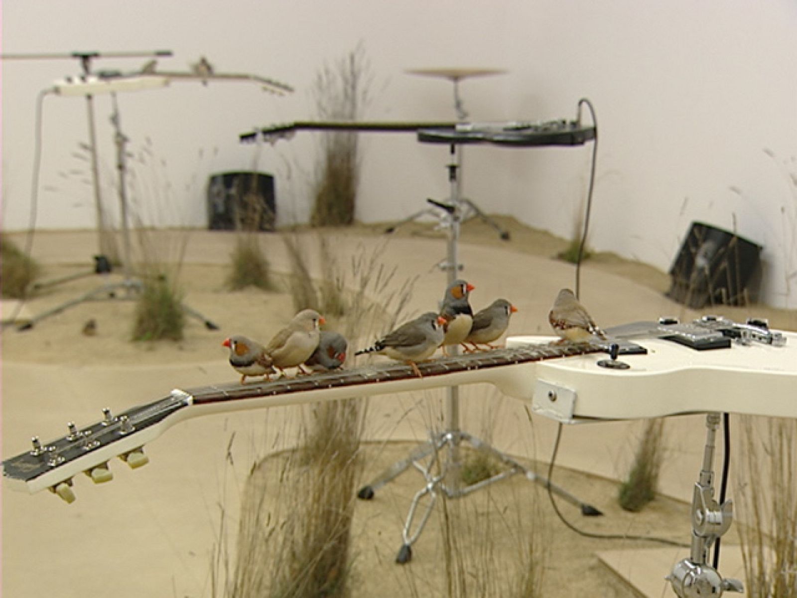 Obras de arte que se consumen, desaparecen o se desintegran