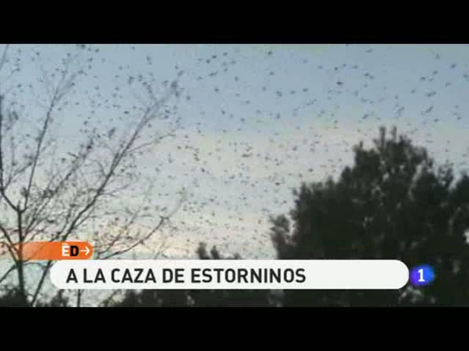 España Directo - 18/11/10 - España Directo | Ver