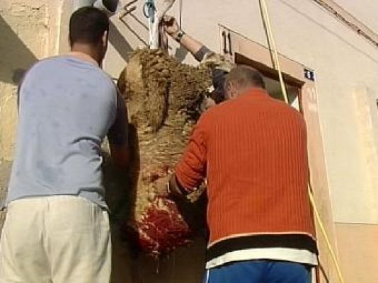 Noticias de Melilla - Noticias de Melilla - 19/11/10