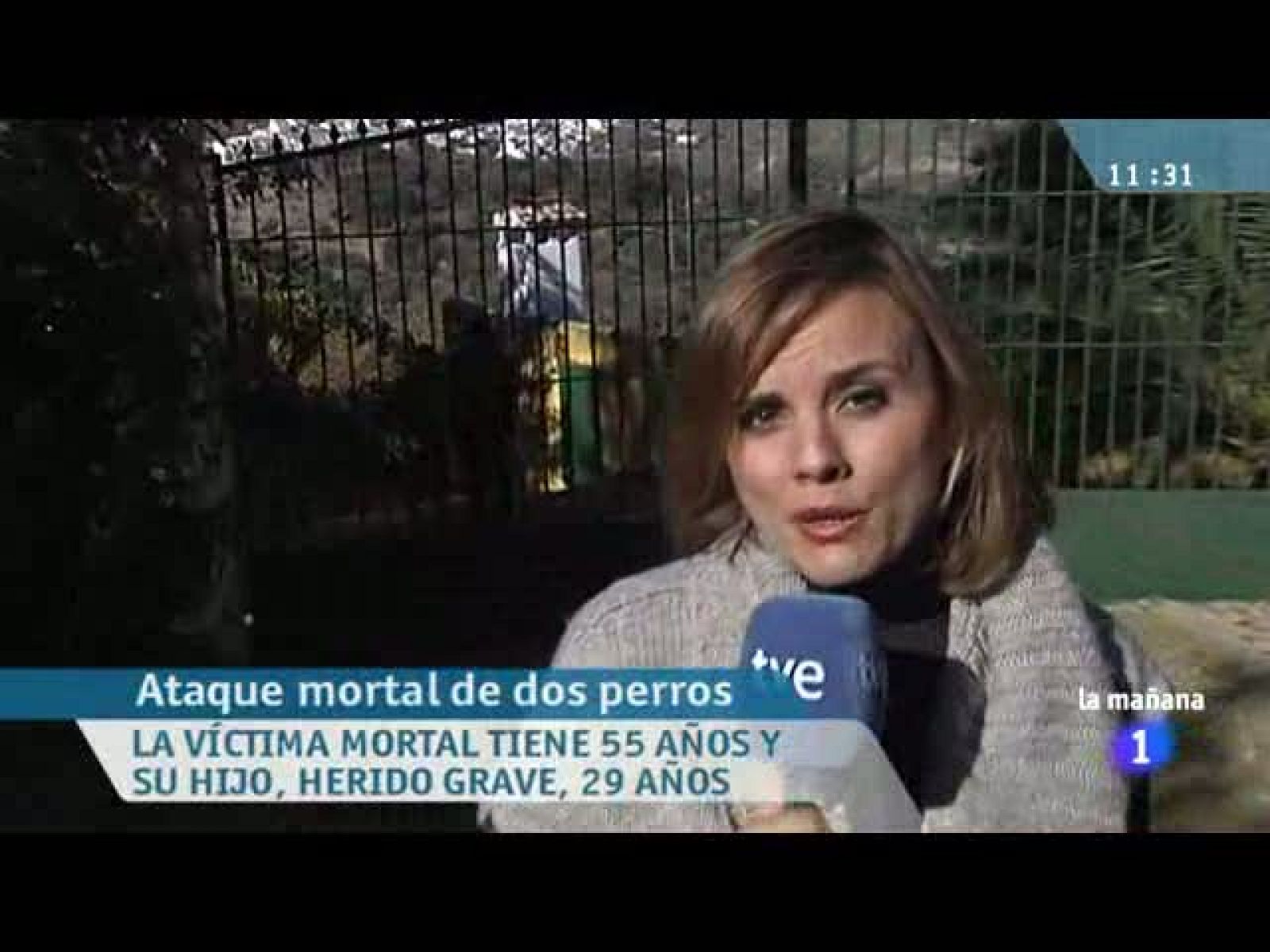 La mañana de La 1 - 19/11/10 - La mañana | Ver