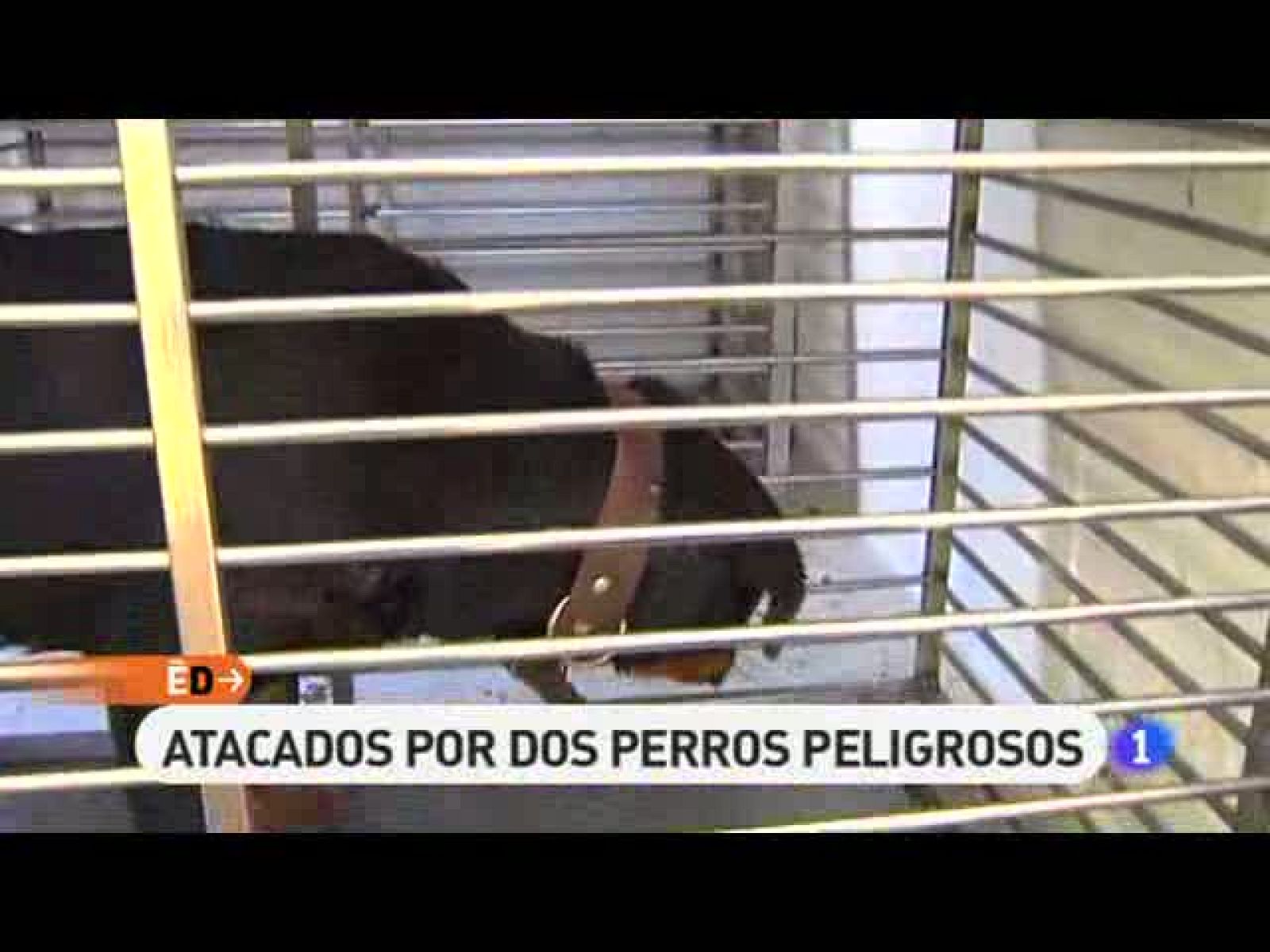 España Directo - 19/11/10 - España Directo | Ver