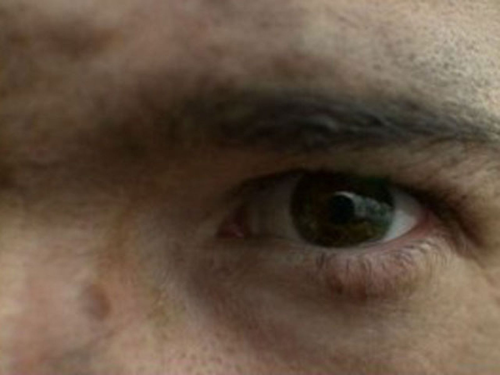 La vida del niño lobo al cine | Ver